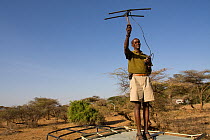 David Daballan radio tracking African elephant (Loxodonta africana) Samburu National Reserve, Kenya. Model released.