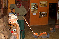 Save the Elephants employee preparing collar for elephant collaring, Samburu National Reserve, Kenya.