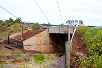 Underpass built for African elephants (Loxodonta africana) to migrate under the busy Nanyuki-Meru road, northern Kenya