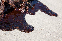 Oil on beach from the BP oil spill, Alabama, USA. Gulf of Mexico,  June 2010.