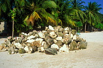 Coral, harvested from barrier reef for construction, piled on beach, Baa Atoll, Maldives, Indian Ocean.   1998