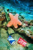 Granular starfish (Choriaster granulatus) near discarded drinking cans, North Male Atoll, Maldives, Indian Ocean.