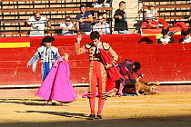 Matador holding estoca sword after death of bull during bull fight, Plaza de Toros, Valencia, Spain. July 2014.