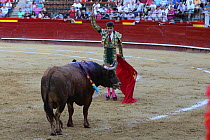 Bull fighting, Plaza de Toros, Valencia, Spain. July 2014.