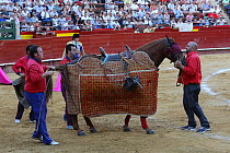 Horse wearing protective 'peto' padding during the first round of the bull fight,Tercio de Varas, Plaza de Toros, Valencia, Spain, July 2014.