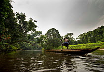 Fisherman on river, Salonga National Park, Democratic Republic of Congo. September 2009.