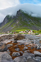 Vikten coast, Flakstad, Lofoten, Nordland, Norway, July.