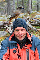 Siberian jay (Perisoreus infaustus) perched on photographer Erlend Haarberg's head, Stora Sjofallet National Park, Laponia World Heritage Site, Lapland, Sweden, September, 2013.