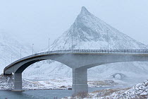 Bridges between Ramberg and Fredvang, Flakstad, Lofoten, Nordland, Norway, November.