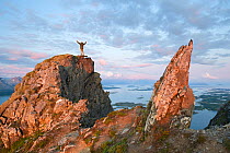 View from Mt Donnamannen and man standing on rock with arms raised, Helgeland, Nordland, Norway, July, 2009.