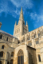 Norwich cathedral, Norfolk, UK. November 2014.