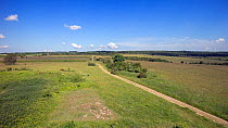 Landscape of Martin Down National Nature Reserve with foot path through grassy downland, Hampshire, England, UK, June 2014.