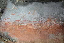 San paintings on rock, illustrating various African mammals including Giraffes, Zebra and Antelope. Matobo Hills, Zimbabwe. January 2011.