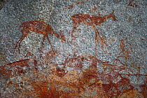 San rock paintings of Antelopes, Matobo Hills, Zimbabwe. January 2011.