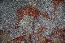 San rock painting of antelope, Matobo Hills, Zimbabwe. January 2011.