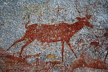 San rock painting of antelope, Matobo Hills, Zimbabwe. January 2011.