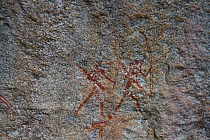 San rock painting of hunter, Matobo Hills, Zimbabwe. January 2011.