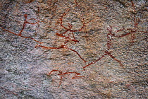 San rock paintings of hunters, Matobo Hills, Zimbabwe. January 2011.