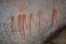 San rock paintings of human figures, Matobo Hills, Zimbabwe. January 2011.