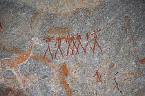 San rock paintings of human figures and Giraffes, Matobo Hills, Zimbabwe. January 2011.