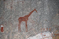 San rock painting of Giraffe, Matobo Hills, Zimbabwe. January 2011.