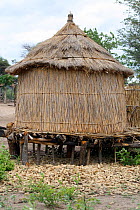 Granary in a Lozi Village, Sioma Nqwezi Park, Zambia. November 2010.