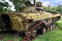 Tank abandoned from war between South African and the SWAPO,  Bwabwata Conservancy, Namibia.