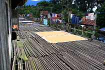 Dayak Longhouses, Pontianka, West Kalimantan, Indonesian Borneo. June 2010.