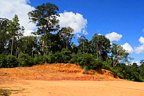 Loss of topsoil in deforested land, Central Kalimantan, Indonesian Borneo. June 2010.