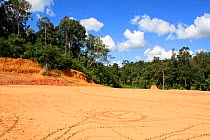 Loss of topsoil in deforested land, Central Kalimantan, Indonesian Borneo. June 2010.