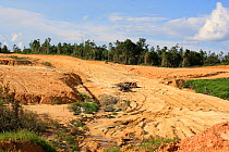 Effects of deforestation, bleaching of soil and loss of topsoil, Central Kalimantan, Indonesian Borneo. June 2010.