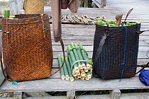 Bamboo in traditional Dayak woven baskets, Central Kalimantan, Indonesian Borneo. June 2010.