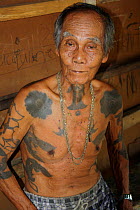 Dayak headhunter man with traditional tattoos, Dayak, Central Kalimantan,  Indonesian Borneo. June 2010.