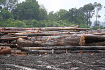 Deforestation for construction of dam, Sabah, Malaysian Borneo. July 2010.