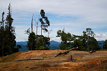 Deforested area in Sabah, for dam construction. Sabah, Malaysian Borneo. July 2010.