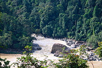 Site of dam construction, Sabah, Malaysian Borneo. June 2010.