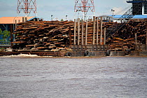 Timber for exportation in port,  Bintulu, Sarawark, Malaysian Borneo. July 2010.