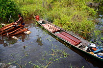 Deforestation -  men cutting logs in river, Gunung Palung National Park, West Kalimantan, Indonesian Borneo. July 2010.