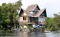 Dayak long house built on stilts with satelitte dish, Gunung Palung National Park, West Kalimantan, Indonesian Borneo. July 2010.