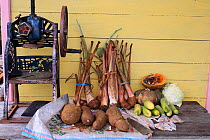 Farm produce outside house with yam, casava and pumpkins, with sugar cane press. Gunung Palung National Park, West Kalimantan, Indonesian Borneo. July 2010.