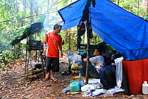 Botanists, working in Gunung Palung National Park. West Kalimantan, Indonesian Borneo. July 2010.