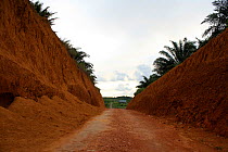 Newly built road, Singkawang, West Kalimantan, Indonesian Borneo. July 2010.