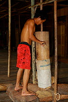 Man dehusking rice, Dayak longhouse, Pontianak, West Kalimantan, Indonesian Borneo. August 2010.