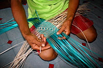 Dayak Basket weaving in Southern Kalimantan, Indonesian Borneo. August 2010.