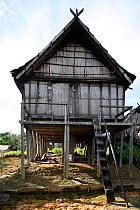 Traditional Dayak house, Southern Kalimantan, Indonesian Borneo. August 2010.