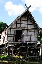 Traditional Dayak longhouse, Southern Kalimantan, Indonesian Borneo. August 2010.