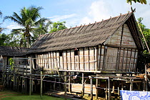 Traditional Dayak longhouse, Southern Kalimantan, Indonesian Borneo. August 2010.