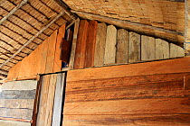 Apex of traditional Dayak  longhouse, East Kalimantan, Borneo. June 2010.