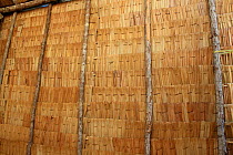 Wall of traditional Dayak longhouse, East Kalimantan, Borneo. June 2010.