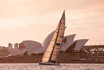 Yacht sailing past the Sydney Opera House at dusk, November 2012. All non-editorial uses must be cleared individually.